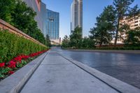 an empty sidewalk with trees and red flowers along it and buildings in the background with dark clouds