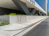 a street curb and street curb guard line with plants and grass in the middle of it