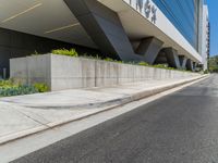 a street curb and street curb guard line with plants and grass in the middle of it