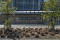 an empty building with trees in front of it in the daytime sun next to a street