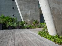 some tall cement poles in a courtyard area by buildings and plants and bushes in front of them