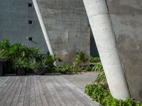 some tall cement poles in a courtyard area by buildings and plants and bushes in front of them