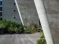 some tall cement poles in a courtyard area by buildings and plants and bushes in front of them