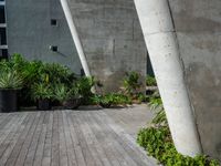 some tall cement poles in a courtyard area by buildings and plants and bushes in front of them