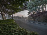 Urban Design: Cityscape and Bridge on the Waterfront