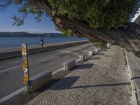 a sidewalk next to water and buildings near the beach with trees on both sides and road next to water