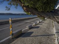 a sidewalk next to water and buildings near the beach with trees on both sides and road next to water