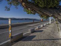 a sidewalk next to water and buildings near the beach with trees on both sides and road next to water