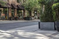 Urban Design: Cobble Stone Walkway in the City