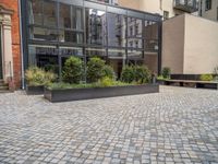 an empty parking lot with plants in the ground and on the side of the building, there is an enclosed area and windows