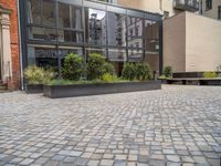 an empty parking lot with plants in the ground and on the side of the building, there is an enclosed area and windows