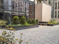 an empty parking lot with plants in the ground and on the side of the building, there is an enclosed area and windows