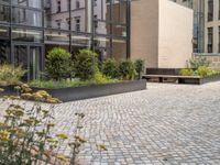 an empty parking lot with plants in the ground and on the side of the building, there is an enclosed area and windows