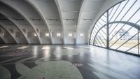 large area with windows, and tiles on the floor, surrounded by glass walls and large leaf motif on the floor