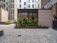 an empty parking lot with plants in the ground and on the side of the building, there is an enclosed area and windows