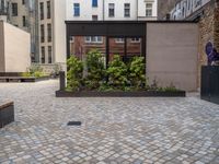 an empty parking lot with plants in the ground and on the side of the building, there is an enclosed area and windows