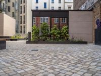 an empty parking lot with plants in the ground and on the side of the building, there is an enclosed area and windows