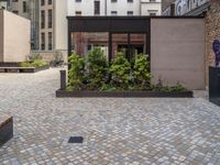 an empty parking lot with plants in the ground and on the side of the building, there is an enclosed area and windows