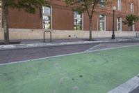 a street that has some green paint on it, and some trees are by the sidewalk