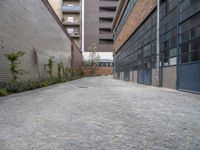 Urban Design in Europe: Brickwork and Vegetation in a German Courtyard