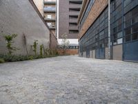 Urban Design in Europe: Brickwork and Vegetation in a German Courtyard