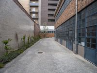 Urban Design in Europe: Brickwork and Vegetation in a German Courtyard