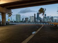 a city street that has palm trees blowing in the wind on it at night under a highway