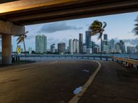 a city street that has palm trees blowing in the wind on it at night under a highway