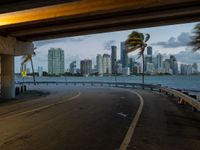 a city street that has palm trees blowing in the wind on it at night under a highway