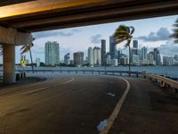 a city street that has palm trees blowing in the wind on it at night under a highway