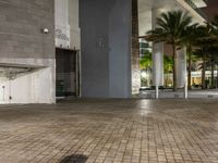 empty tiled space and a sidewalk at night with buildings in the background with some trees