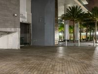 empty tiled space and a sidewalk at night with buildings in the background with some trees