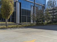 a building with three trees on one side and a concrete street next to it in front of it