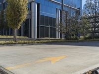 a building with three trees on one side and a concrete street next to it in front of it