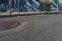 the man on a skateboard is in the street by a mural of elephants on the building's side