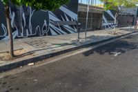 the man on a skateboard is in the street by a mural of elephants on the building's side