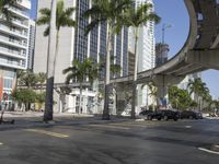 two people walking down the street in front of a palm tree and high rise buildings