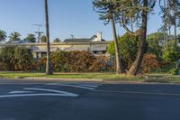 the houses along the road have a crosswalk and trees on one side of them