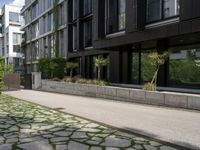 a person is riding down the sidewalk next to some green trees and bushes and a building