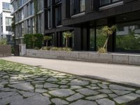 a person is riding down the sidewalk next to some green trees and bushes and a building