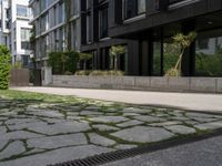 a person is riding down the sidewalk next to some green trees and bushes and a building