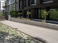 a person is riding down the sidewalk next to some green trees and bushes and a building