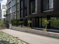 a person is riding down the sidewalk next to some green trees and bushes and a building