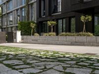 a person is riding down the sidewalk next to some green trees and bushes and a building