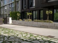 a person is riding down the sidewalk next to some green trees and bushes and a building