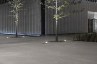 a couple of trees with lights on some concrete area outside a building in the evening