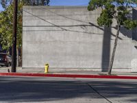 a yellow fire hydrant sitting between two trees and on the corner of an empty street