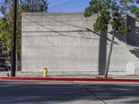 a yellow fire hydrant sitting between two trees and on the corner of an empty street