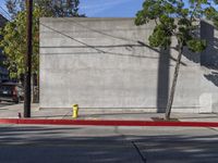 a yellow fire hydrant sitting between two trees and on the corner of an empty street