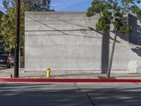 a yellow fire hydrant sitting between two trees and on the corner of an empty street